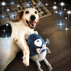 Meet your Posher, Jami